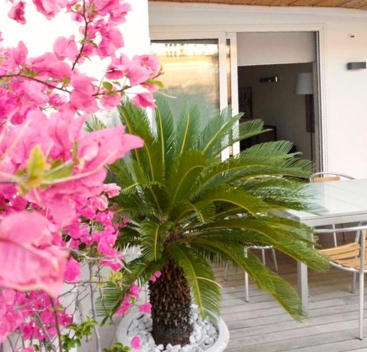 Interno 3 Appartement Bari